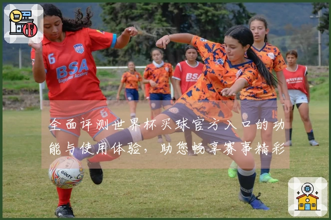 全面评测世界杯买球官方入口的功能与使用体验，助您畅享赛事精彩时刻