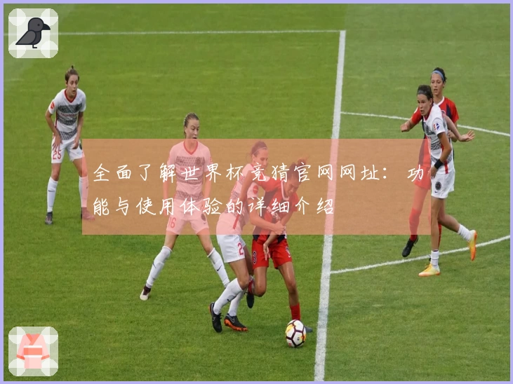 全面了解世界杯竞猜官网网址：功能与使用体验的详细介绍