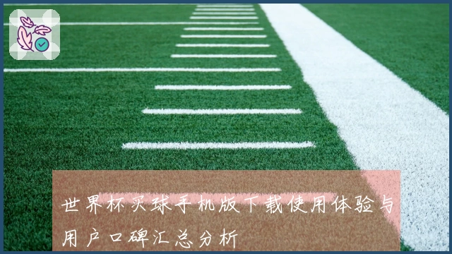 世界杯买球手机版下载使用体验与用户口碑汇总分析