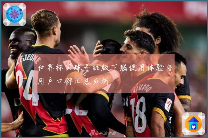 世界杯买球手机版下载使用体验与用户口碑汇总分析