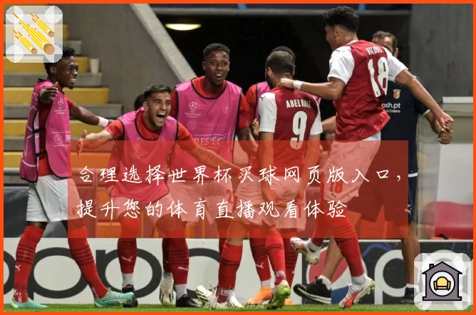 合理选择世界杯买球网页版入口，提升您的体育直播观看体验